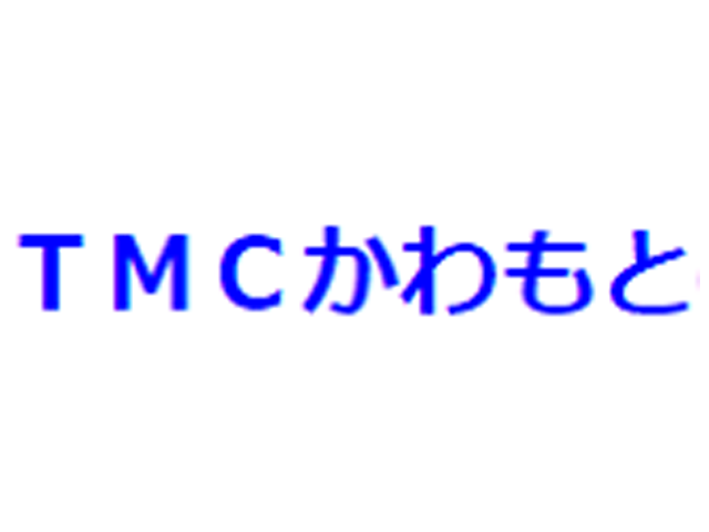 有限会社 ティー・エム・シー・かわもと